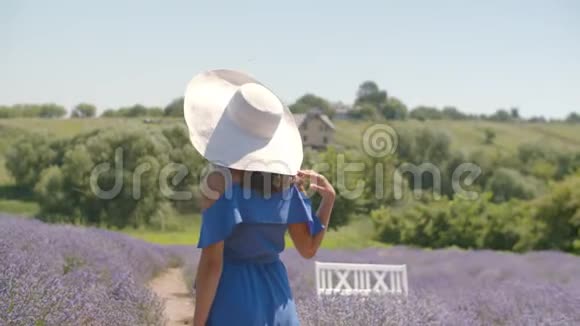 戴帽子的浪漫女人在草田散步视频的预览图