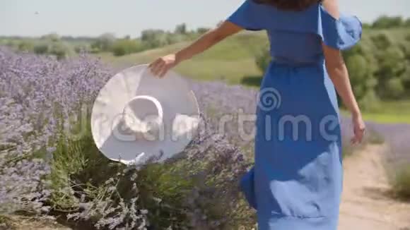 优雅美丽的女人在夏天的大自然中欢乐视频的预览图