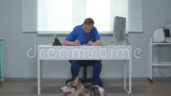 哈士奇躺在地板上兽医坐在桌子旁写字视频的预览图