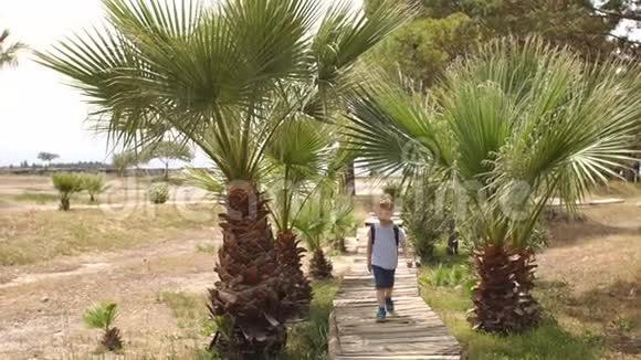 可爱的小男孩在度假时走在棕榈树之间的木桥上视频的预览图