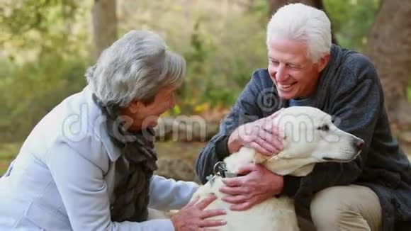 退休夫妇带着他们的狗视频的预览图