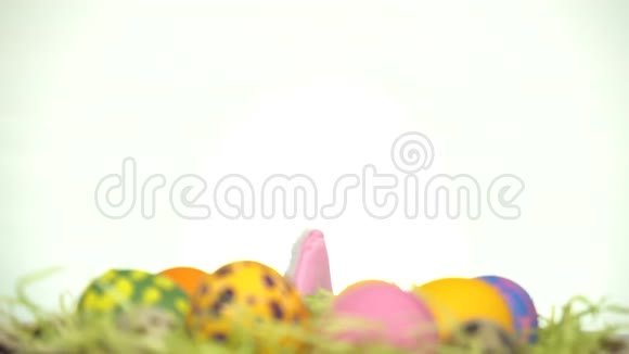 复活节快乐一个长着兔子耳朵的人从复活节彩蛋后面往外看视频的预览图