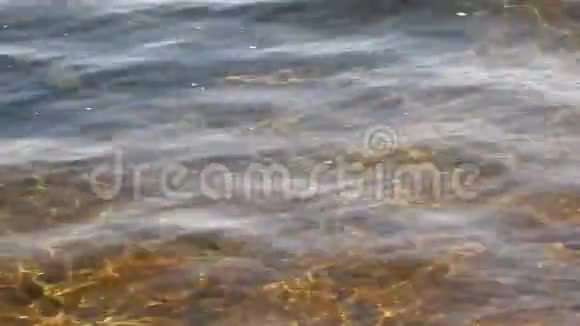 水面上的光柱视频的预览图
