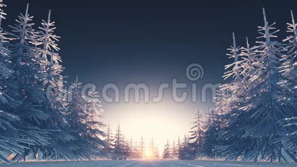 冬天的风景视频的预览图