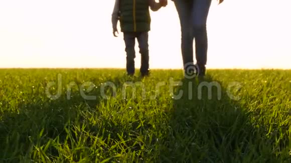 日落时分母亲和孩子穿过一片绿色的草地双腿合拢视频的预览图