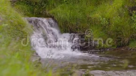 溪流在岩石上流淌视频的预览图