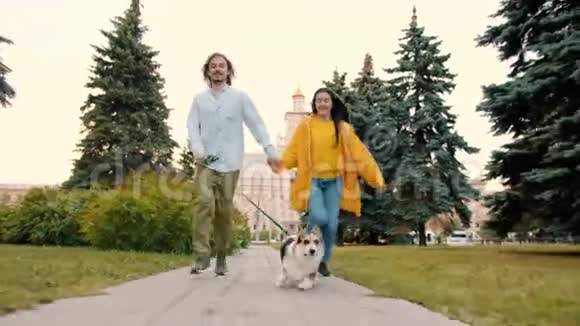 在城市公园里男人女人和狗科吉品种在户外奔跑视频的预览图