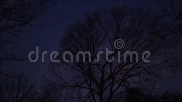 星星移动黑暗的天空飞机树视频的预览图
