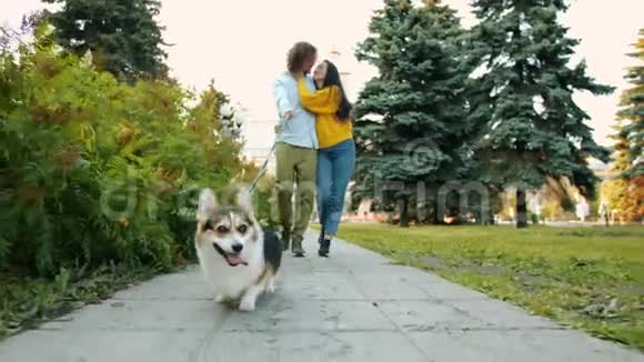 多利在城市公园里用亲吻情侣男女的方式遛狗视频的预览图