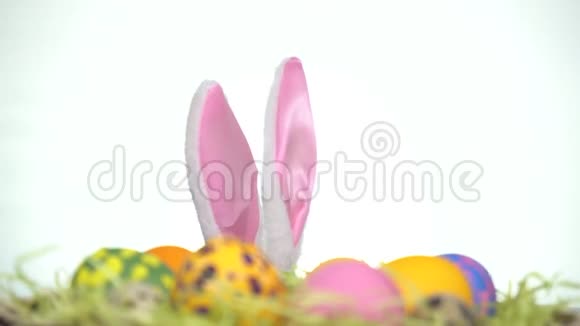 复活节快乐一个长着兔子耳朵的人从复活节彩蛋后面往外看视频的预览图