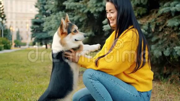 一位年轻的亚洲女士在公园里和美丽的科吉小狗玩耍拥抱动物视频的预览图