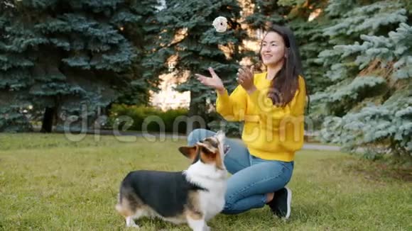 在公园草地上和科吉狗玩的漂亮姑娘享受着友谊视频的预览图