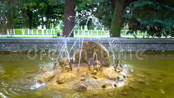 公园里的小喷泉视频的预览图