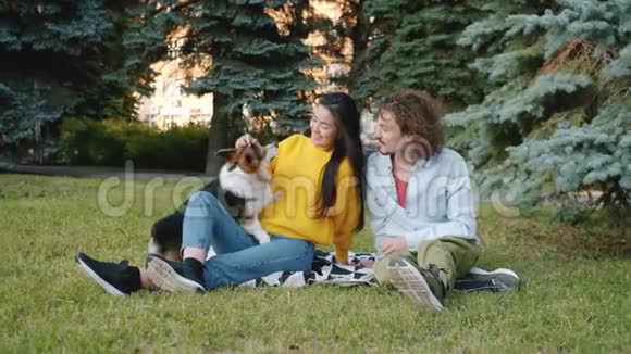 快乐的一对情侣在公园里放松爱抚一起坐在草坪上的科吉小狗视频的预览图