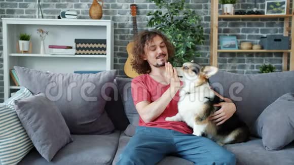 快乐的家伙在家里的沙发上抚摸科吉小狗享受闲暇时光视频的预览图