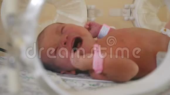 产科诊所拯救生命的概念在医生监督下婴儿在培养箱中早产快关门4k视频的预览图