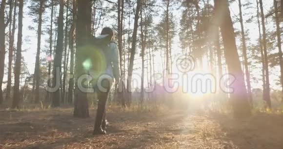 年轻迷人的女游客穿着蓝色夹克带着一个大旅游背包在日落时漫步在绿松林中后面的视频的预览图
