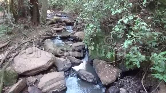 卡鲁拉森林瀑布景观视频的预览图