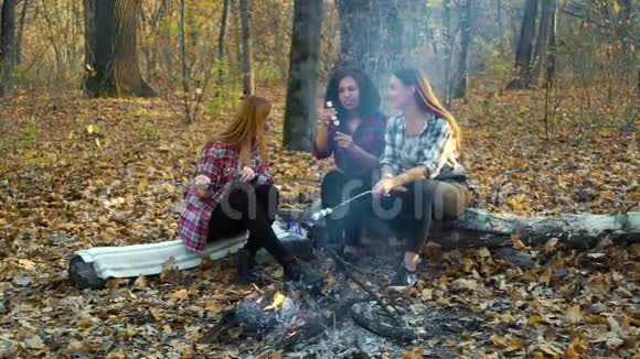秋林篝火上烤棉花糖的快乐女孩游客视频的预览图