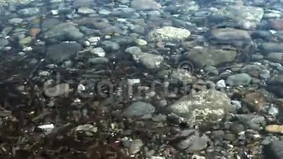 海底的海石和卵石视频的预览图