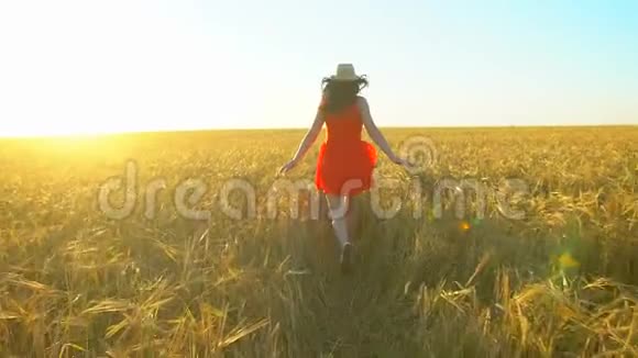 快乐的旅行者年轻的西班牙裔美女在日落的夏天在麦田上奔跑自由健康幸福旅游视频的预览图