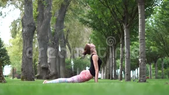 一个女孩在公园里练瑜伽一只松鼠在她后面跑视频的预览图