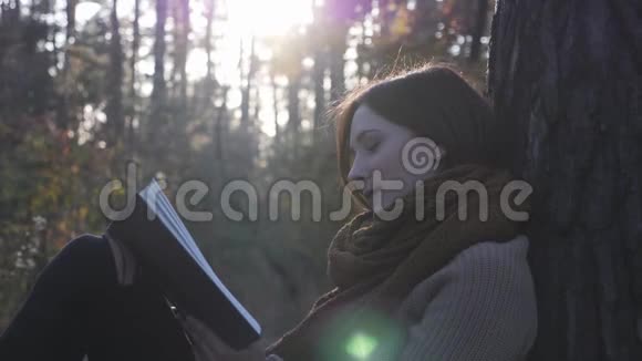 快乐可爱的黑发女人旅行者在秋天的森林日落秋季女性游客放松和享受阅读视频的预览图