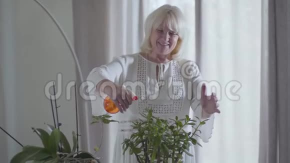 阳性的成熟白种人妇女在盆里的绿色家庭花卉上喷洒水快乐的退休人员照顾她视频的预览图