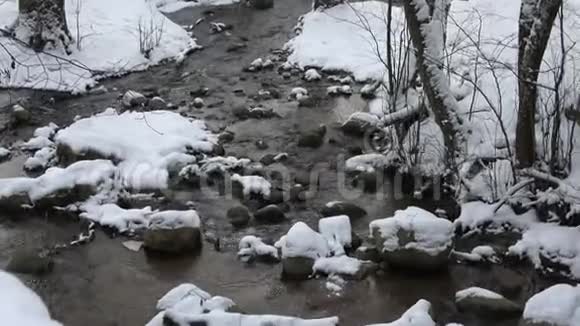 清澈的冬河溪视频的预览图