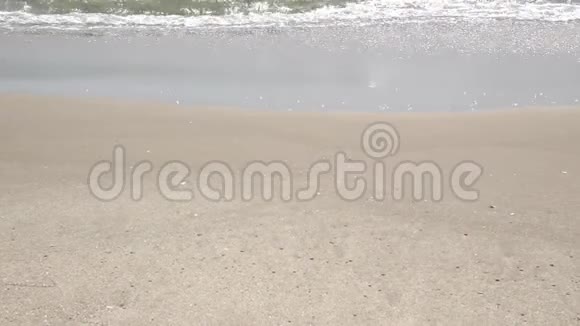 海滩漫步的镜头视频的预览图