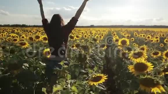 在向日葵田享受休闲的迷人女人视频的预览图