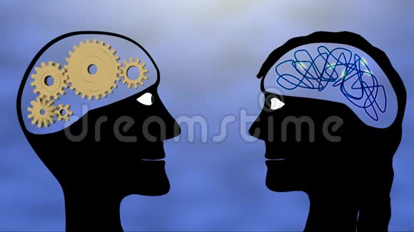 男性和女性的大脑视频的预览图