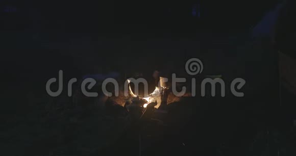 夜晚篝火和水壶视频的预览图