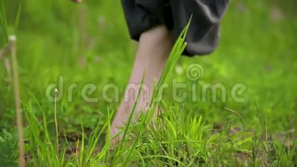 一个练习者在户外草地上腿的特写在气功练习中赤脚穿越a的概念视频的预览图