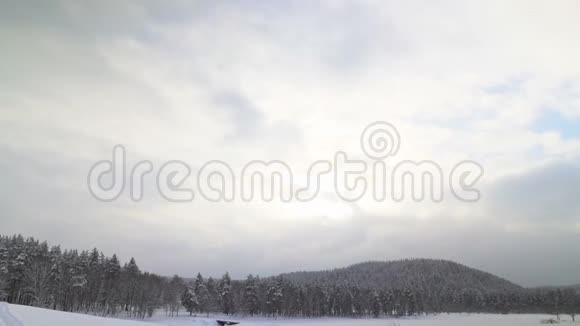 美丽的雪冬自然视频的预览图
