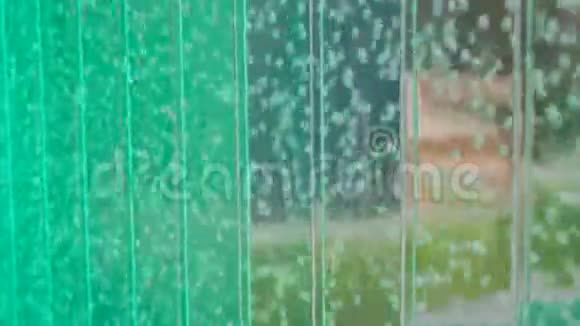 气泡水玻璃绿墙视频的预览图