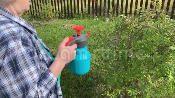 高级女园丁用喷雾器喷洒果树和灌木以防治植物病虫害视频的预览图