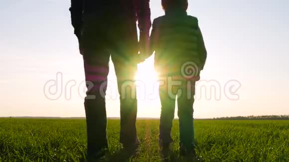 一个男人和一个孩子在夕阳下的剪影父子俩一起在一片绿地上散步旅行视频的预览图