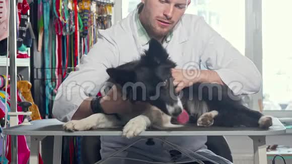 男兽医在他的诊所检查一只可爱的快乐狗的皮毛视频的预览图