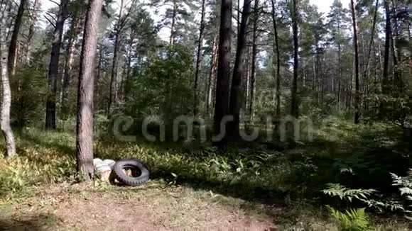 森林健身房概述视频的预览图