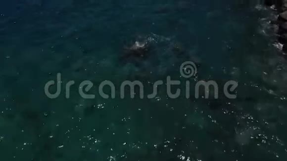 无人机在海上飞行的画面视频的预览图