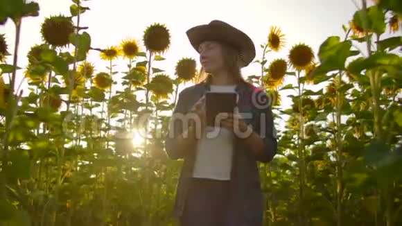 这位年轻的女学生正在田野上观察夏日的向日葵视频的预览图