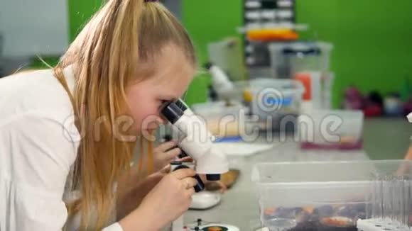 在学校研究实验室看显微镜的年轻女孩视频的预览图
