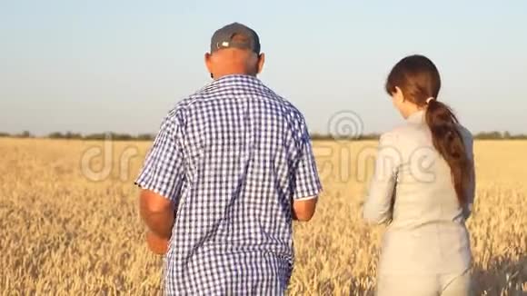 女商人和农民在麦田里散步农学家和农夫手里拿着一粒麦子视频的预览图