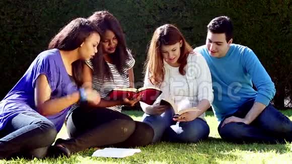 户外团体圣经学习视频的预览图