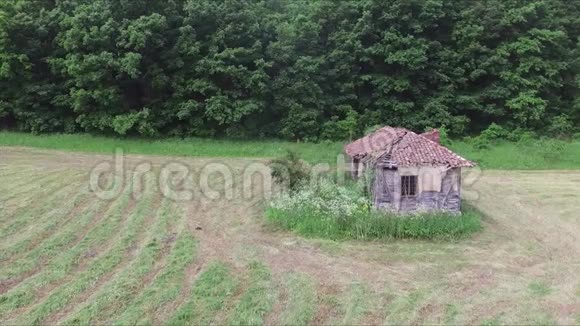 草地中央的旧废弃房子视频的预览图