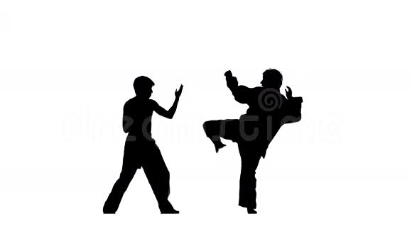 白色背景下的跆拳道打击视频的预览图
