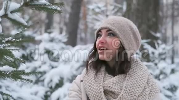 冬天公园里快乐的年轻女子手敲圣诞树上的雪笑视频的预览图