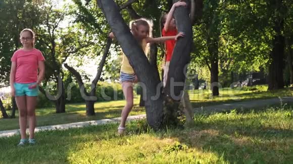 快乐的孩子爬上了树视频的预览图