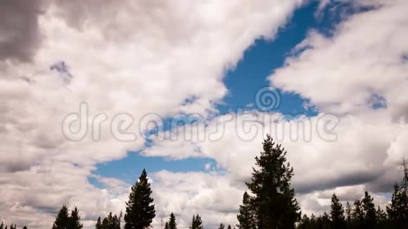 蒙大拿州树线上空的云视频的预览图